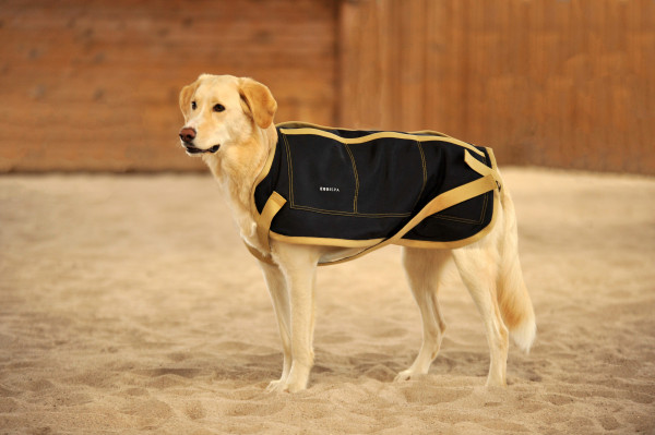 EQUISPA - DOG – Hundemantel - Rückenprotektor für Hunde